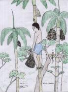Ilustração associada à vogal alongada oo